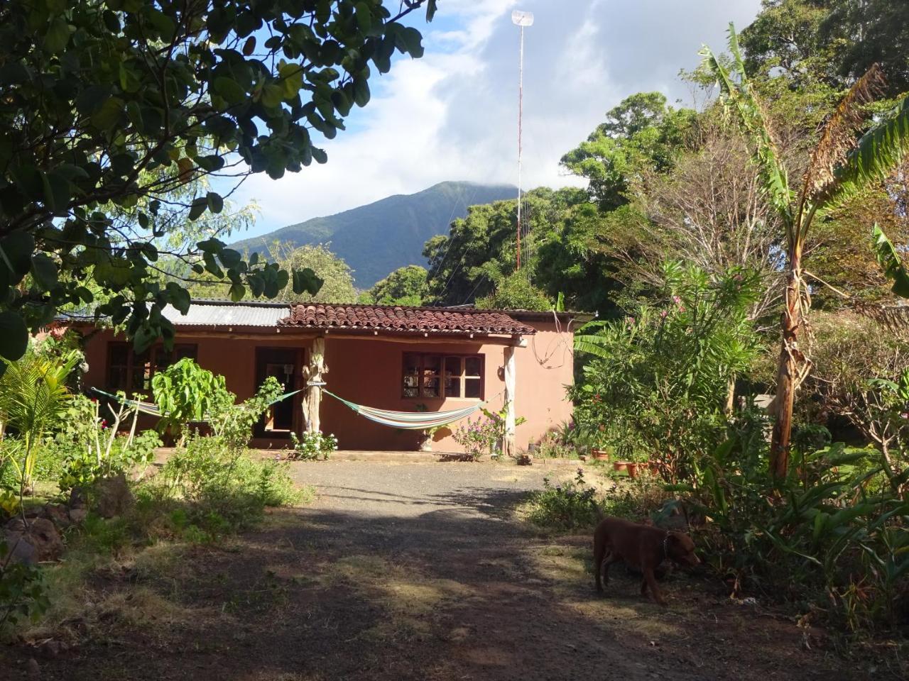 Casa Papaki Apartment Merida Luaran gambar
