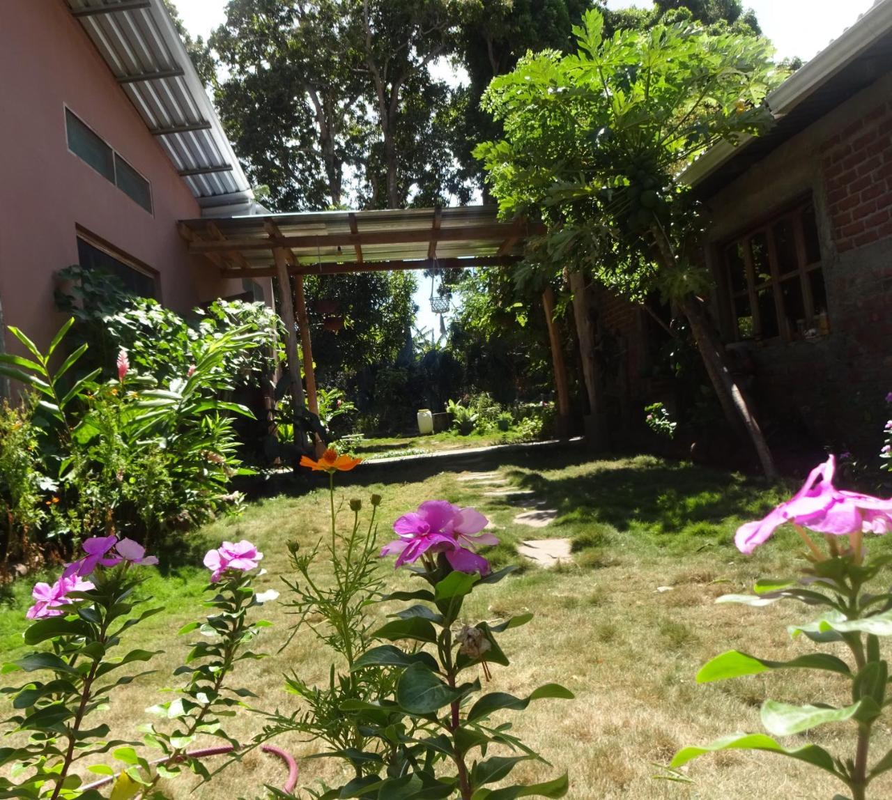 Casa Papaki Apartment Merida Luaran gambar